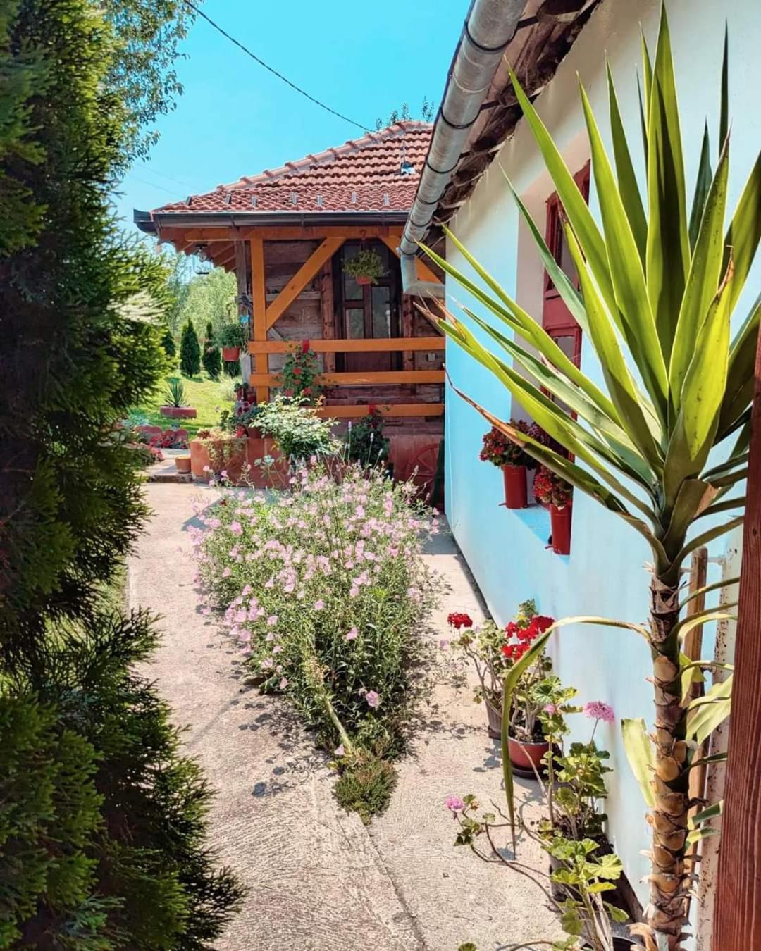 Prenociste Lelic Ferienhaus *