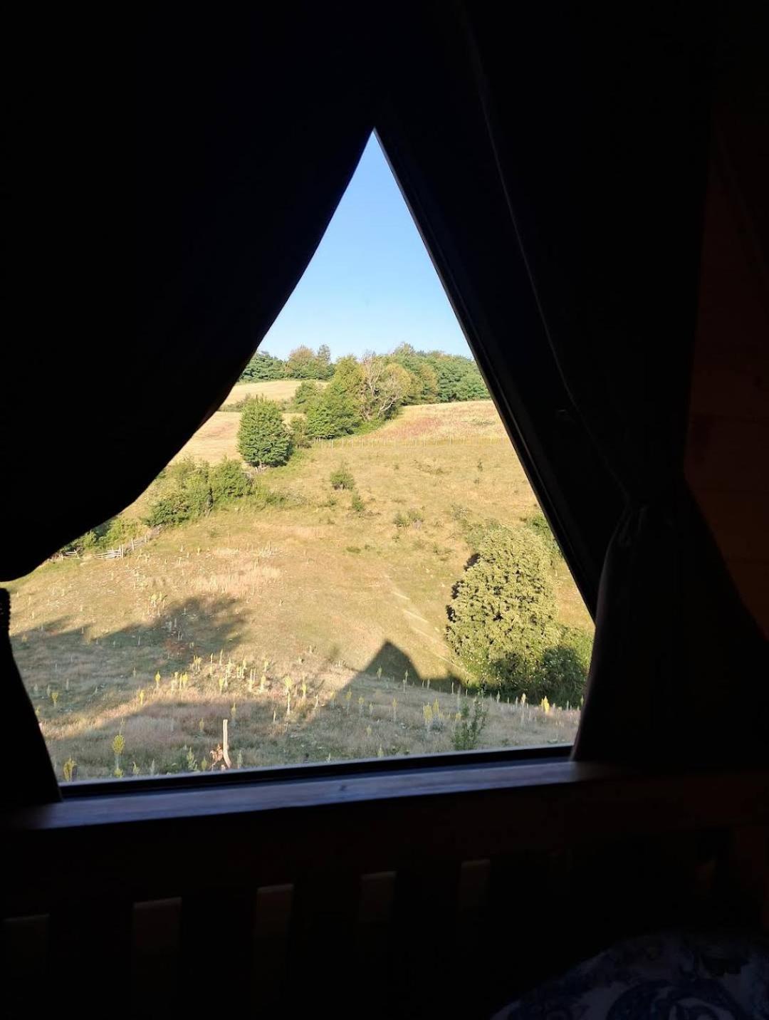 Prenociste Lelic *